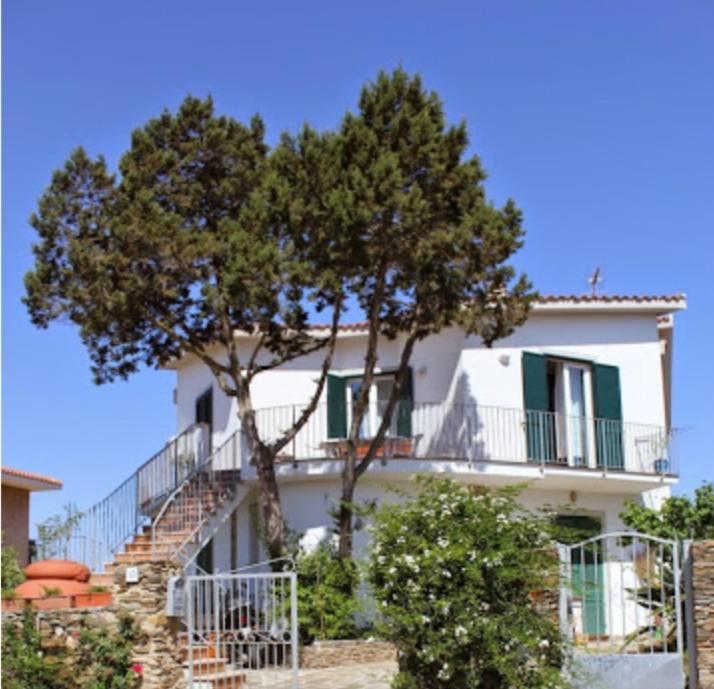 Bed and Breakfast Il Ginepro Di Стинтино Экстерьер фото